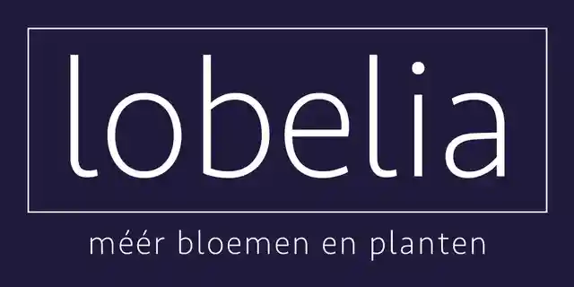 lobeliabloemen.nl